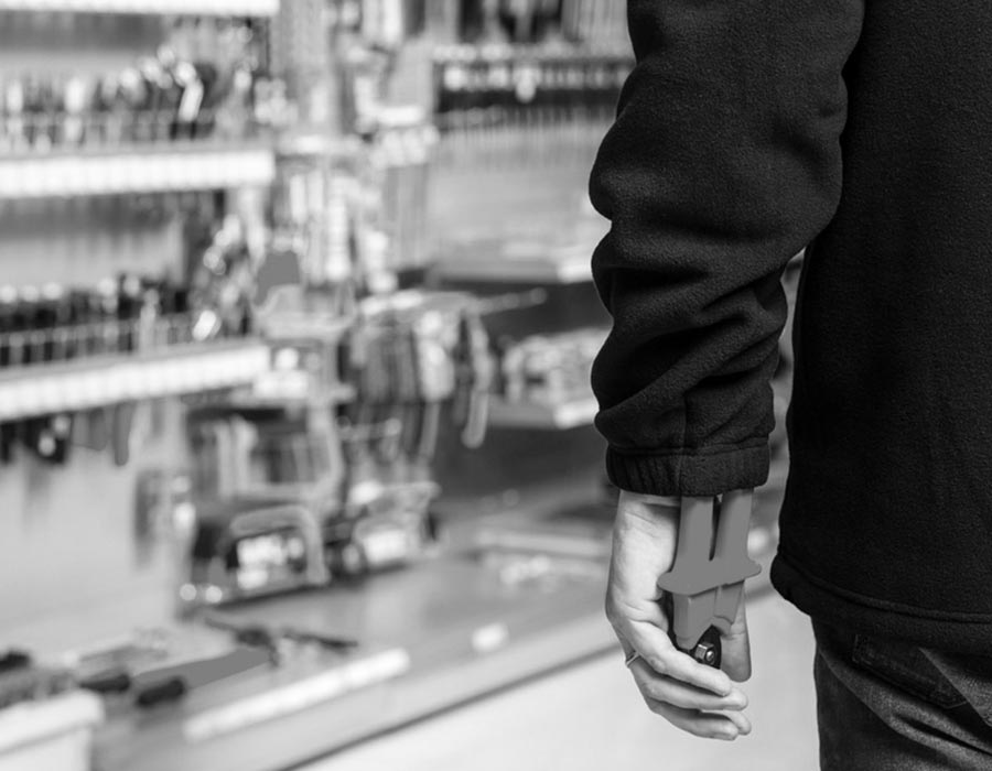 Real-Time: Shoplifting, Theft and Intruder Detection